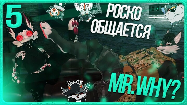 🐺 ОБЩЕНИЕ РОСКО С MR.WHY? | ЧАСТЬ 5