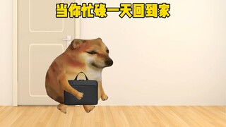 عندما تعود إلى المنزل بعد يوم حافل