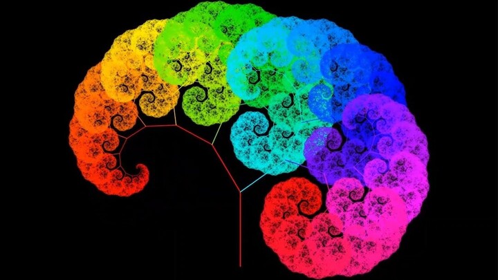 The Beauty of Fractal Trees: Is This Your Hairstyle?