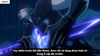 Zoro Có Haki Bá Vương_ - Tiềm Năng Sức Mạnh Của Zoro _ 3