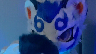 [Fursuit Dance] ข้ามเวลาพิชิตใน Op แต่ Fu Rui ล่ะ?