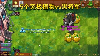 五个究极植物vs黑将军
