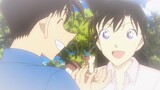 Kudo Shinichi & Maurilan ｜ "Có người định mệnh ngay khi gặp nhau"