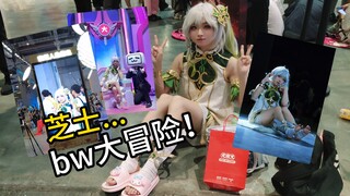 好耶bw！小草神大冒险