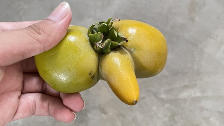 Apple Fruit (Sad) (If this gets over 500 likes, I’ll eat it!)