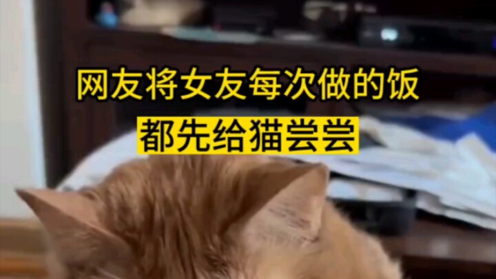 将女友每次做的饭都让猫咪先尝尝