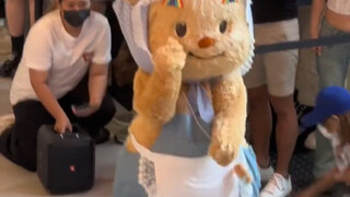 Thai Butter Bear dances aespa【supernova】Supernova is so cute!!