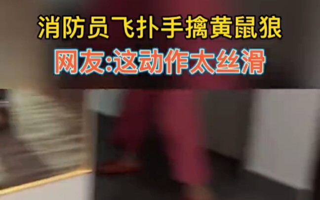 Firefighter grabs a weasel with such smooth, effortless precision!