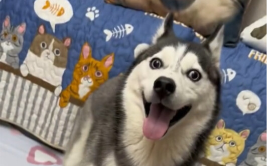 لا أعرف أي عرق انحرف مرة أخرى...