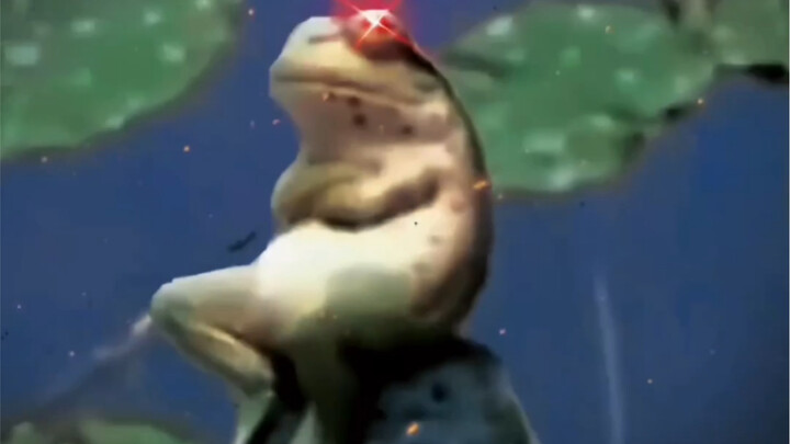 «تام يضرب نو شو، دم واحد كل يوم»