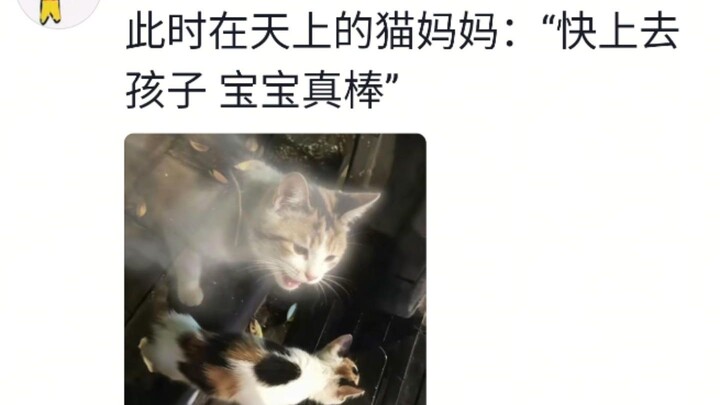 Mimi: If he waits for me three minutes, I’ll go home with him.