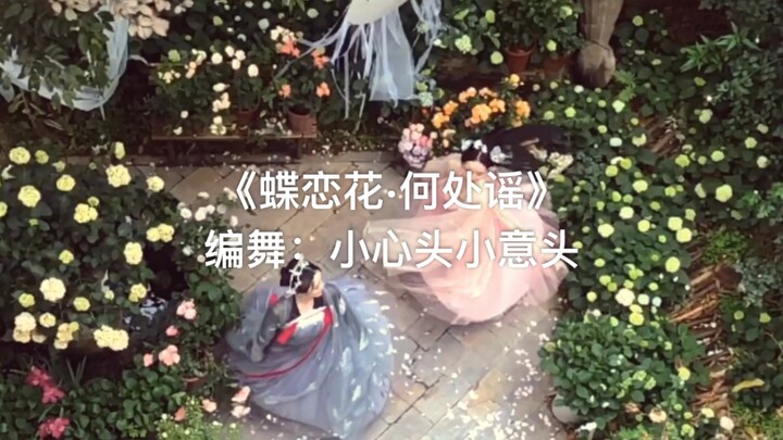 【小心头-小意头】《蝶恋花·何处谣》 原创编舞