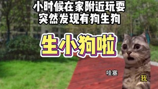 لقد أنجبت ثلاثة كلاب