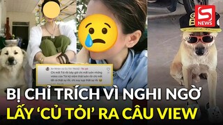 Bị chỉ trích vì nghi lấy chú chó Củ Tỏi ra câu view, chủ nhân nghẹn ngào: Các bạn nhẫn tâm thật!