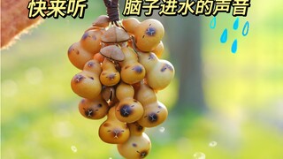 Luar biasa! Suara seperti otak kelelep air! DIY lonceng angin manual berbentuk capybara hanya dalam 