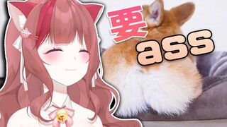 虚拟主播都需要大ass的外国主播【LuckyCupcake】