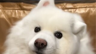 เนียนนุ่มเด้งดึ๋งขนาดนี้ จะรับโฆษณาอะไรดีนะ?