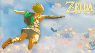 Breath of the Wild 2 GOT ME LIKE: