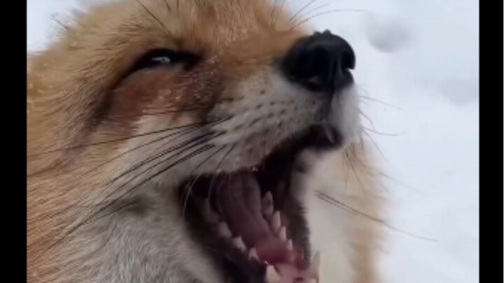 Are you complaining?