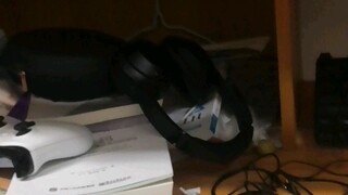 My computer got stolen. I really feel like dying.