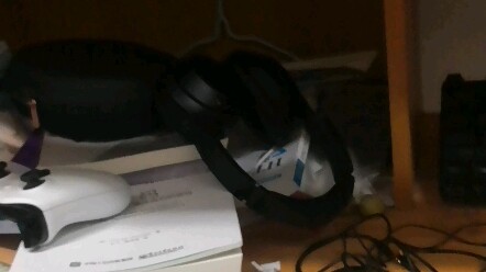 My computer got stolen. I really feel like dying.