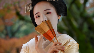 【舞踊】红叶の桥 秀真衣 南禅寺大宁轩 先斗町 2022/11/22