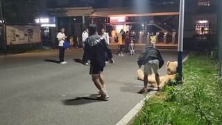 Playing a cute bear on the university campus, but ended up being "harassed" by female classmates? [P