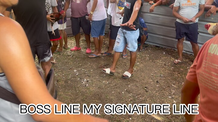 Boss Line My Signature Line 1 Eye
