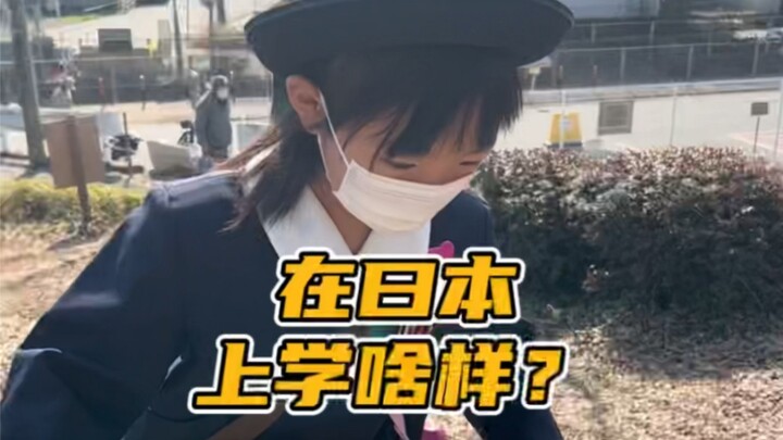 Bagaimana rasanya bersekolah di Jepang?