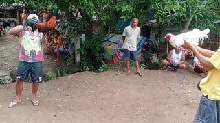 habu na gumana