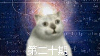 人间迷惑行为大赏（第二十期）