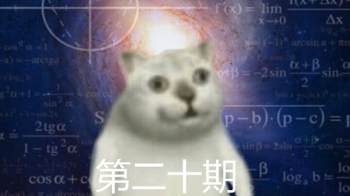 人间迷惑行为大赏（第二十期）