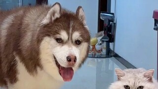 Chúng tôi gặp phải một tình huống rất khó khăn... Cho tôi nói thêm: Có người hỏi tại sao không đặt h