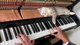 Tháng Tư Là Lời Nói Dối Của Em Piano | Mèo Cực Cute