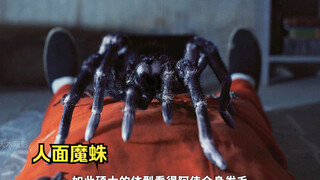 男人为了越狱，每天在监狱里收集蜘蛛