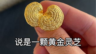 Apakah Ganoderma emas ini memiliki efek khusus?
