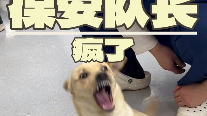 This issue has received over 100,000 likes, and we will continue to update Team Huang’s daily routin