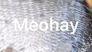 Mẹo hay không xem phí của