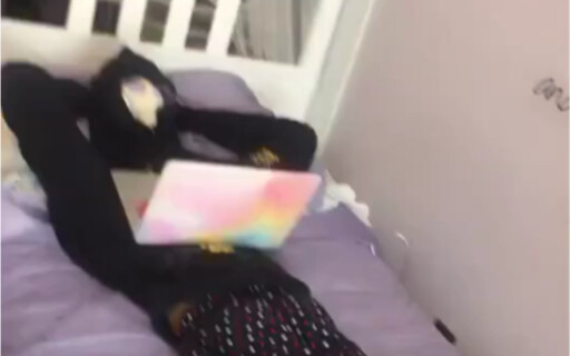 الإنسانية مهزومة