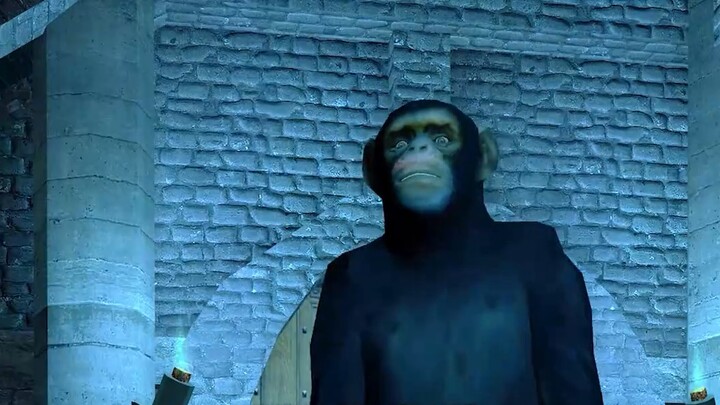 Baboon Adventures: Cơ thể tôi đã bị khoét rỗng và chỉ còn lại bộ xương. Tôi phải làm gì?