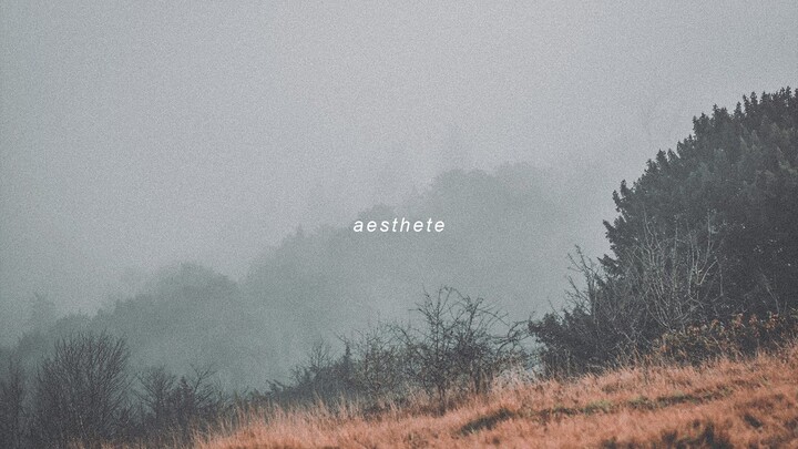 aesthete - abcdefu (slowed cover)