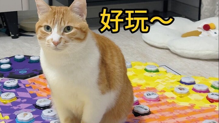 Mao Mao, I can play “match-3” games now too~