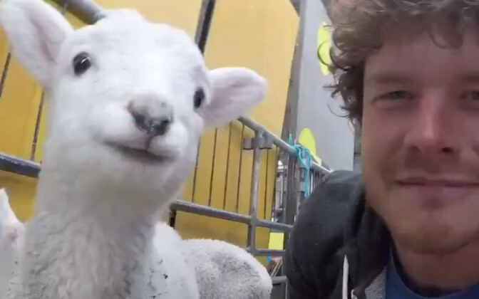 Little Sheep: You have a grammar mistake.