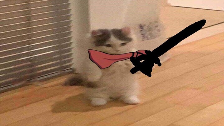 【Quin】ฮอยของฉินเมียวเมียว