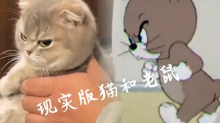 Tom and Jerry is a documentary