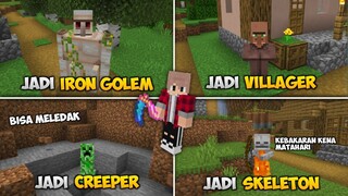 DENGAN ADD-ON INI KITA BISA MENJADI MOBS LAIN DI MCPE 1.17 - MORPH ADD-ON