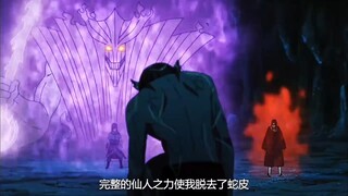 如果没有使用伊邪那美，鼬和佐助应该很难拿下兜