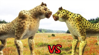 American Cheetah vs African Cheetah | SPORE