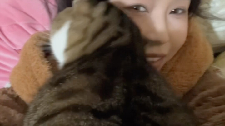 The Little Kitten Without Self-Awareness