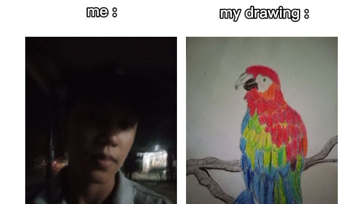 🫶